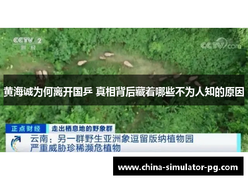 黄海诚为何离开国乒 真相背后藏着哪些不为人知的原因 黄海诚为何离开国乒 真相背后藏着哪些不为人知的原因